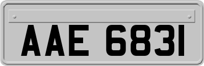 AAE6831