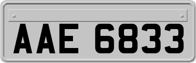 AAE6833