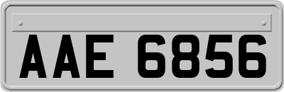 AAE6856