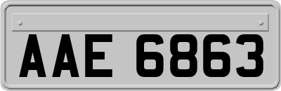 AAE6863