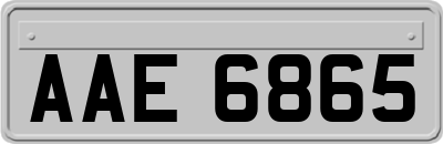 AAE6865