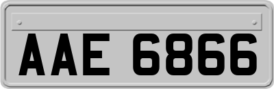 AAE6866