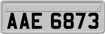 AAE6873