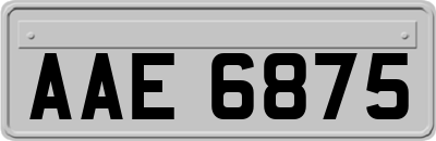 AAE6875