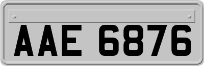 AAE6876