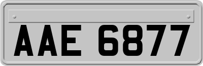 AAE6877