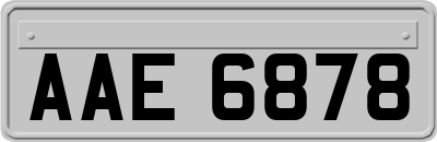 AAE6878