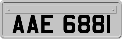 AAE6881