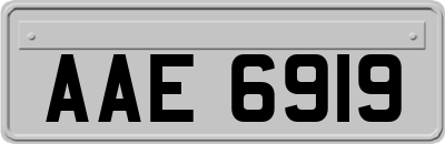 AAE6919