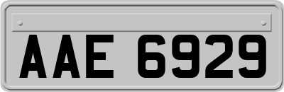 AAE6929