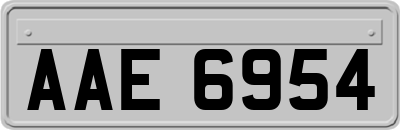 AAE6954