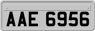 AAE6956