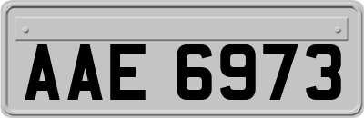 AAE6973