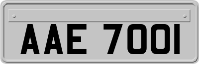 AAE7001