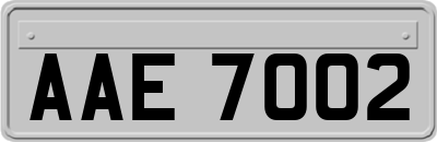 AAE7002