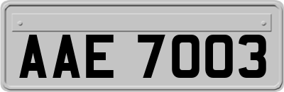 AAE7003