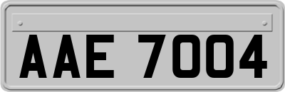 AAE7004