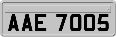 AAE7005