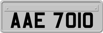 AAE7010