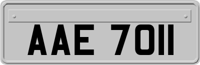 AAE7011