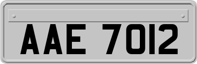 AAE7012