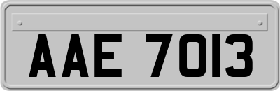 AAE7013