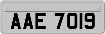 AAE7019