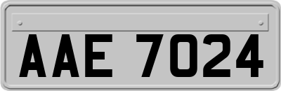 AAE7024