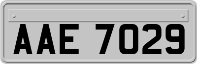 AAE7029