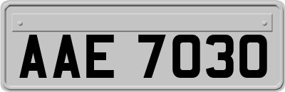 AAE7030