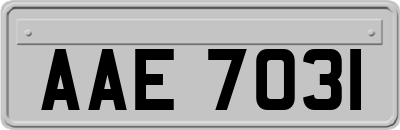 AAE7031