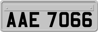 AAE7066