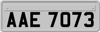 AAE7073