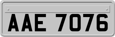 AAE7076