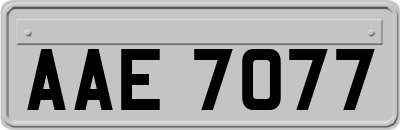 AAE7077