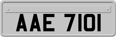 AAE7101