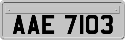 AAE7103