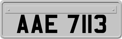 AAE7113