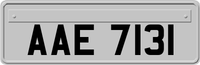 AAE7131