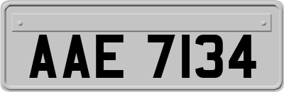 AAE7134