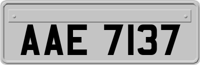 AAE7137