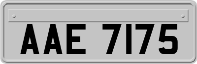 AAE7175