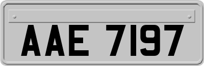 AAE7197