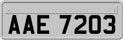 AAE7203