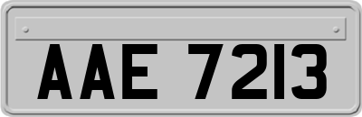 AAE7213