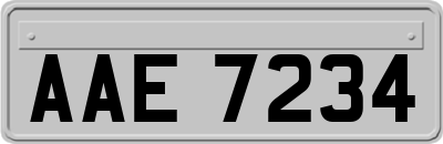 AAE7234