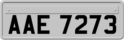 AAE7273