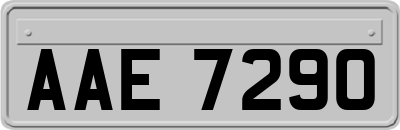 AAE7290