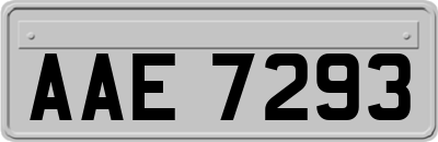 AAE7293