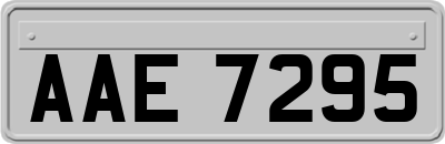 AAE7295